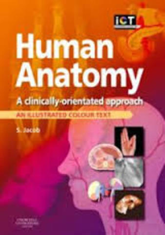 first anatomy book