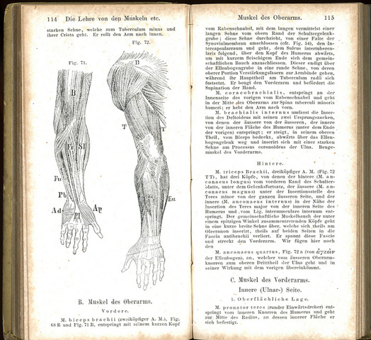 First Anatomy Book