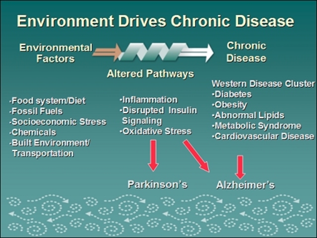 Health and the enviornment