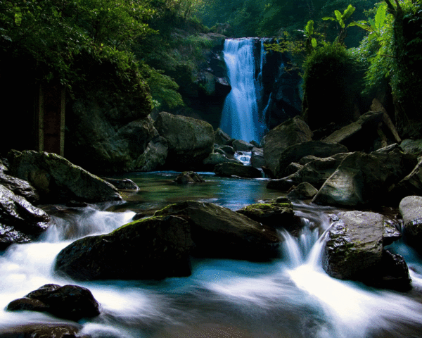 aqui termibna mi historia