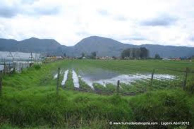 CAMBIO DE ACTIVIDADES