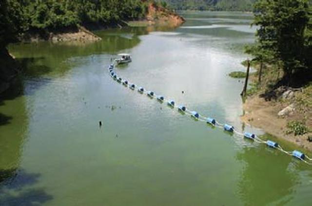 PROYECTOS Y ALTERNATIVAS