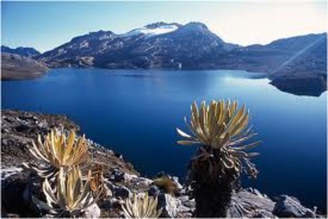 PARAMO SUMAPAZ FUENTE DE VIDA