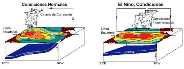INVESTIGACIONES SOBRE EL FENOMENO DEL NIÑO.