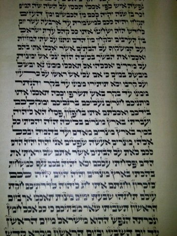 Torah Scribe Apprentice