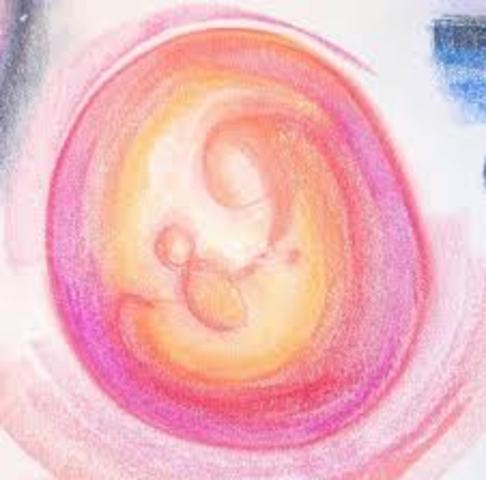 autoridad romana en los niñso