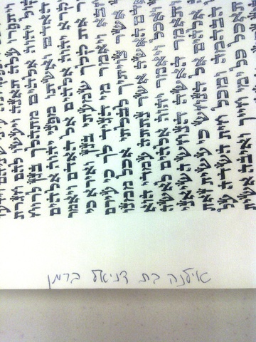 Signed a Contract to Have a Torah Written for My Mother