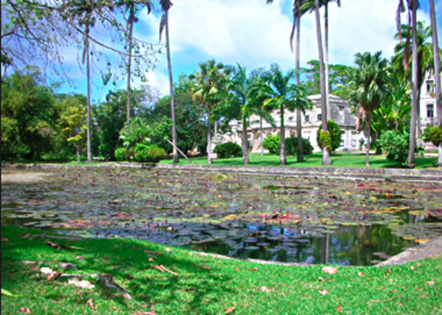 my fisrt whole year at codrington