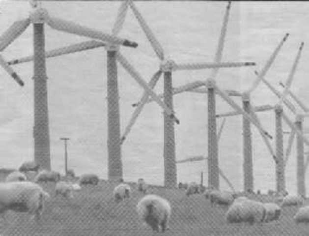 World's First Wind Farm