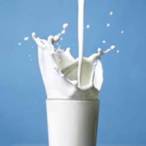 Pastuerazation of milk