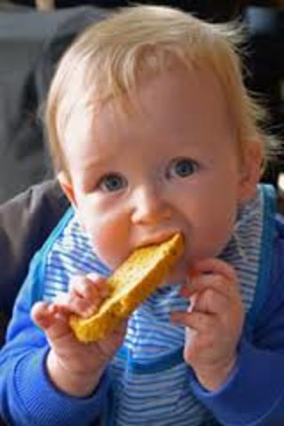 Started eating real food