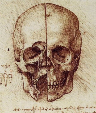 Da Vinci's Drawings