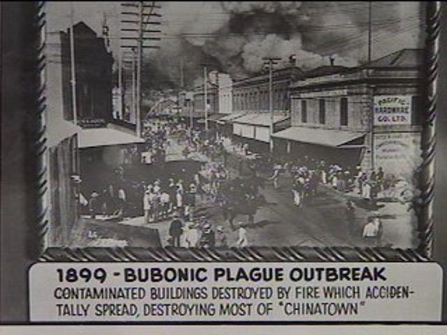 Bubonic Plague in SAN FRAN