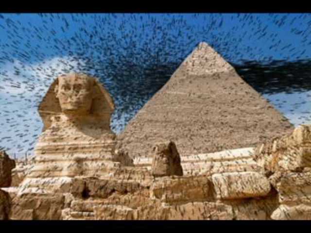 Francis Bacon uses microscope to discover plague flies