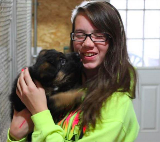 Bought two German Sheperd dogs!