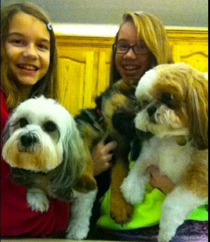 Bought a little dog!