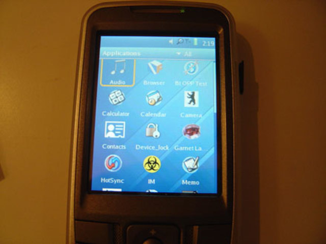 Access Linux Platform (ALP)