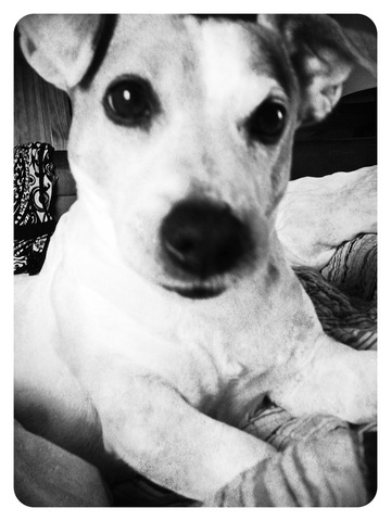 Mr. Higgins Joins the family