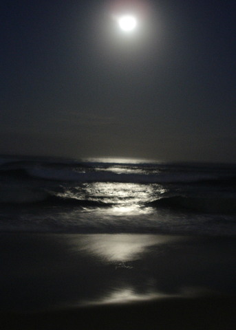 Bernard and Lenina's date