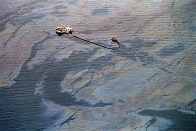 The Exxon Valdez  oil spill