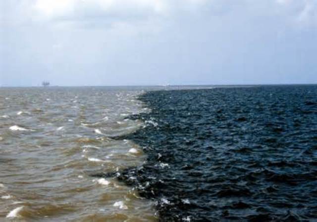 Gulf of Mexico dead zone
