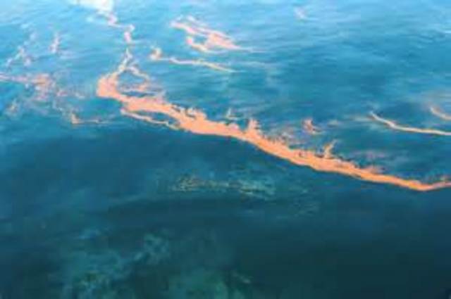 Deep water horzin  oil spill