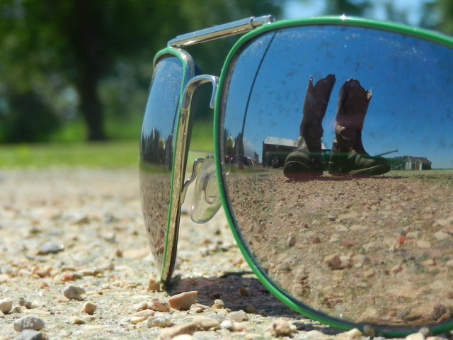 grand champion on my photography project at county fair