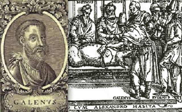 Galeno y el Tratado sobre la utilidad de las partes.