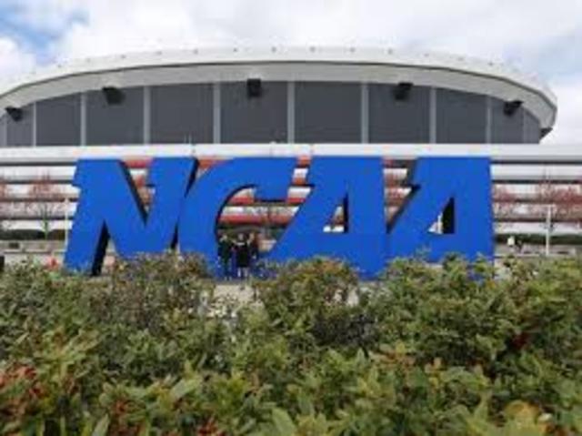 NCAA Concussion Guidelines