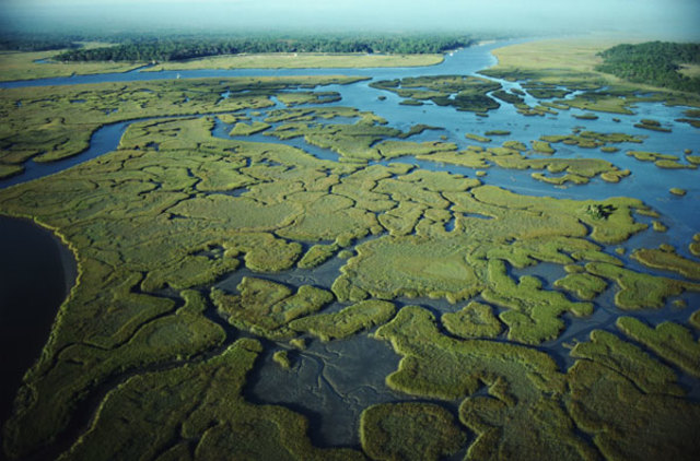 Everglades National Park Established