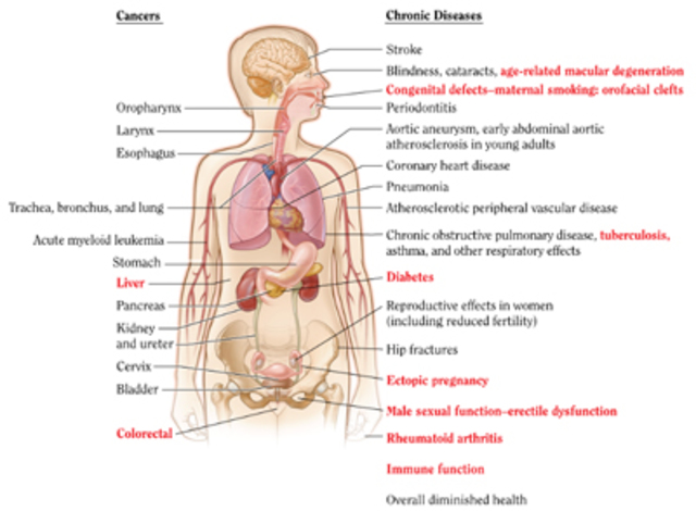 Health Effects of Cigarette Smoking