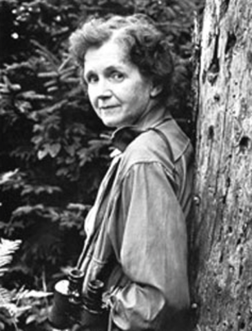 Silent Spring