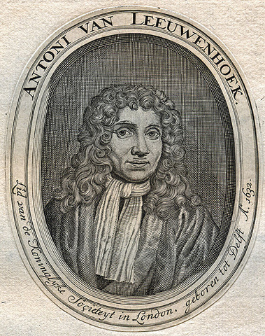 Antonie van Leeuwenhoek