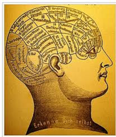 Asociación de Gall (1758- 1828) con Spurzheim (1776-1832) para una postulación más amplia de la frenología