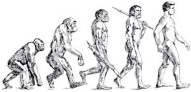 tennessee v. Jhon thomas