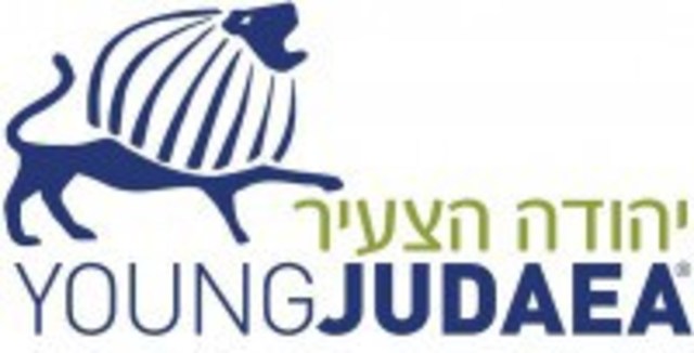 Went (dragged) to my first Young Judaea convention