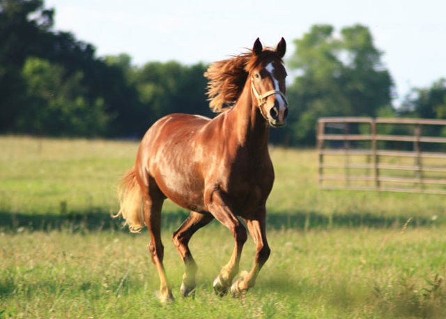 What sparked the fire?