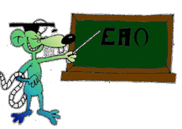 Enseñanza Asistida por Ordenador(EAO) y de sistemas multimedia.