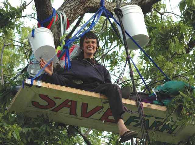 Women sits on a Redwood for 735 days