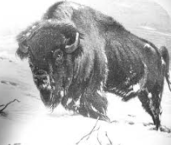 President Roosevelt's annual message to congree