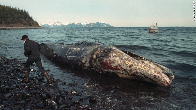 Exxon Valdez Oil Spill