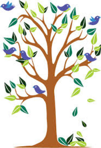 Commenwealth National Park