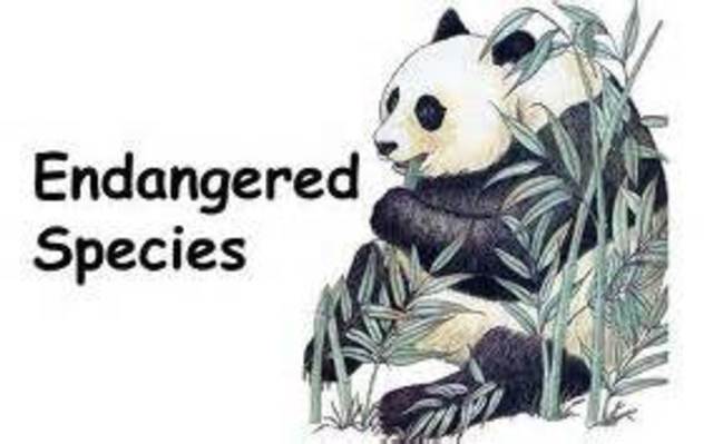 Endangered Species Act