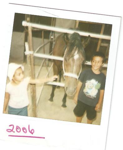 I got my first horse.