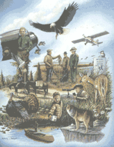 The Lacey Act prohibited the transport of illegally obtained wildlife across state lines, and outlawed hunting in Yellowstone National Park.