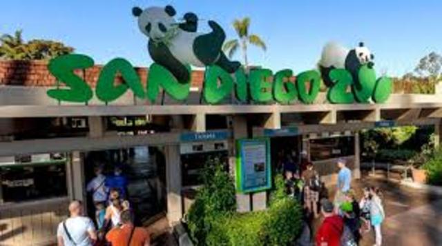 First time going to the Sandiego Zoo