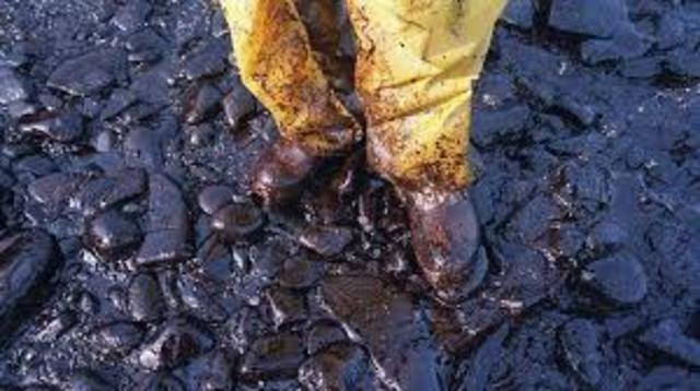 The Exxon Valdez oil spill