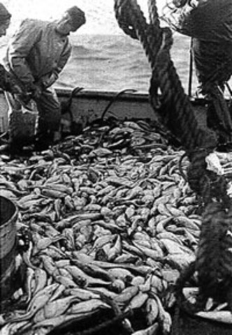First European Fishery