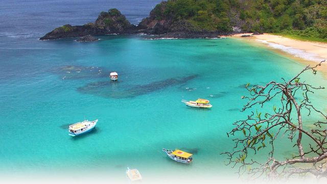 Bahia and Pernambuco, South America