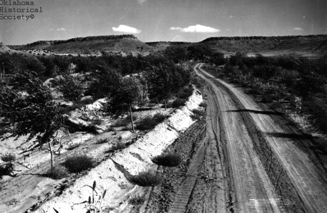 Soil Conservation and Domestic Allotment Act